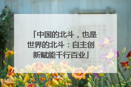 中国的北斗，也是世界的北斗：自主创新赋能千行百业