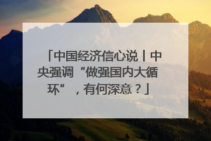 中国经济信心说丨中央强调“做强国内大循环”，有何深意？