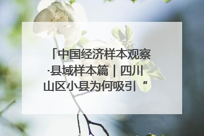 中国经济样本观察·县域样本篇｜四川山区小县为何吸引“村播”扎堆？