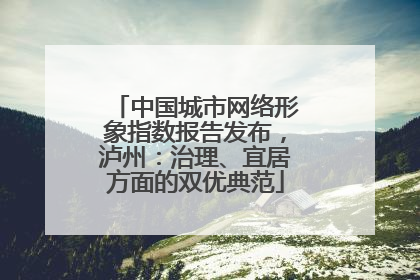 中国城市网络形象指数报告发布，泸州：治理、宜居方面的双优典范