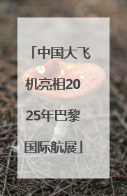中国大飞机亮相2025年巴黎国际航展