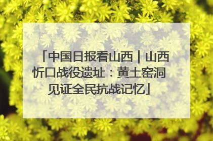 中国日报看山西｜山西忻口战役遗址：黄土窑洞见证全民抗战记忆