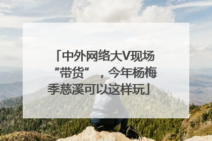 中外网络大V现场“带货”，今年杨梅季慈溪可以这样玩