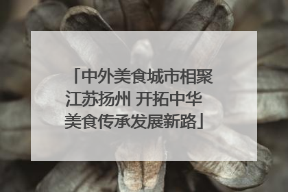 中外美食城市相聚江苏扬州 开拓中华美食传承发展新路