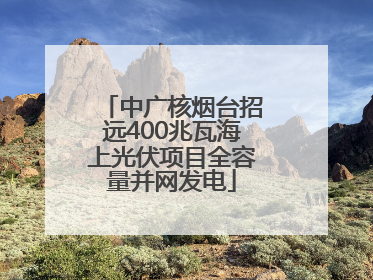 中广核烟台招远400兆瓦海上光伏项目全容量并网发电