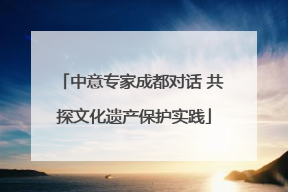 中意专家成都对话 共探文化遗产保护实践