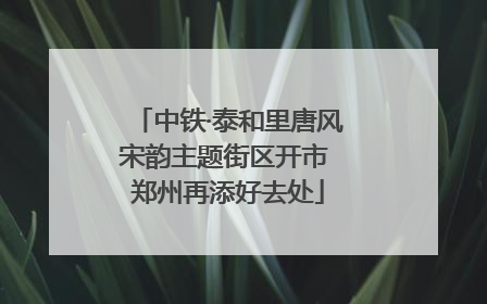 中铁·泰和里唐风宋韵主题街区开市 郑州再添好去处