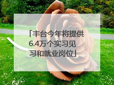 丰台今年将提供6.4万个实习见习和就业岗位