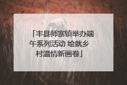 丰县师寨镇举办端午系列活动 绘就乡村温情新画卷