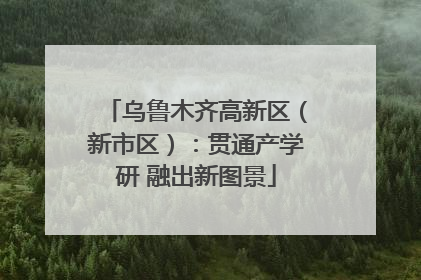 乌鲁木齐高新区（新市区）：贯通产学研 融出新图景