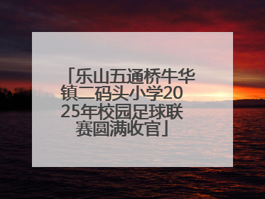 乐山五通桥牛华镇二码头小学2025年校园足球联赛圆满收官