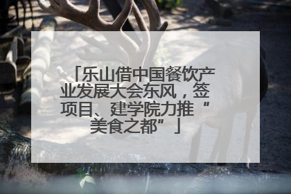 乐山借中国餐饮产业发展大会东风，签项目、建学院力推“美食之都”
