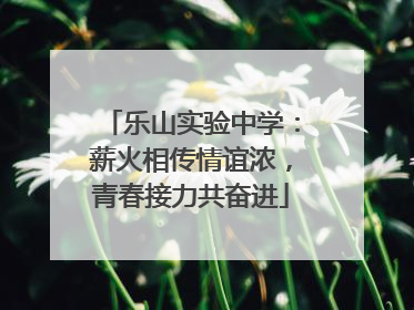 乐山实验中学：薪火相传情谊浓，青春接力共奋进