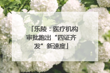 乐陵：医疗机构审批跑出“四证齐发”新速度