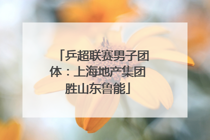 乒超联赛男子团体：上海地产集团胜山东鲁能
