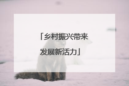 乡村振兴带来发展新活力