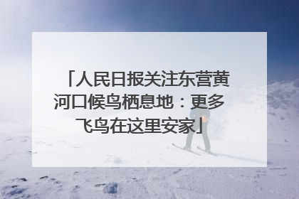 人民日报关注东营黄河口候鸟栖息地：更多飞鸟在这里安家