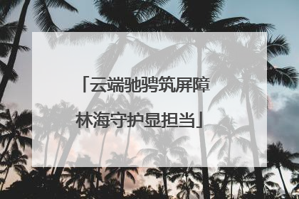 云端驰骋筑屏障 林海守护显担当