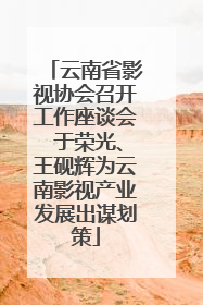 云南省影视协会召开工作座谈会 于荣光、王砚辉为云南影视产业发展出谋划策