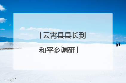 云霄县县长到和平乡调研