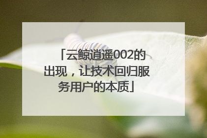 云鲸逍遥002的出现，让技术回归服务用户的本质
