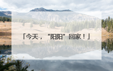 今天，“阳阳”回家！