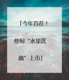 今年首茬！蔡甸“水果莲藕”上市