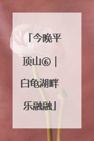 今晚平顶山⑥｜白龟湖畔乐融融