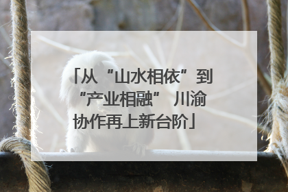 从“山水相依”到“产业相融” 川渝协作再上新台阶