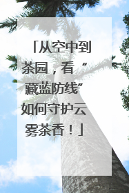 从空中到茶园，看“藏蓝防线”如何守护云雾茶香！
