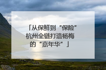 从保鲜到“保险” 杭州全链打造杨梅的“嘉年华”