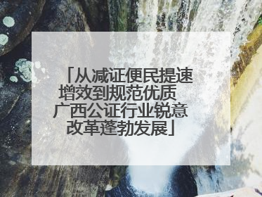 从减证便民提速增效到规范优质 广西公证行业锐意改革蓬勃发展