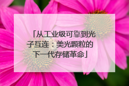 从工业级可靠到光子互连：美光颗粒的下一代存储革命