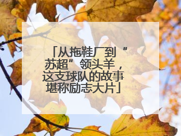 从拖鞋厂到“苏超”领头羊，这支球队的故事堪称励志大片