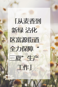 从麦香到新绿 沾化区富源街道全力保障“三夏”生产工作