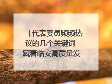 代表委员频频热议的几个关键词 藏着临安高质量发展的密码