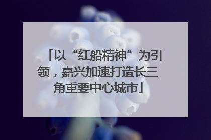 以“红船精神”为引领，嘉兴加速打造长三角重要中心城市