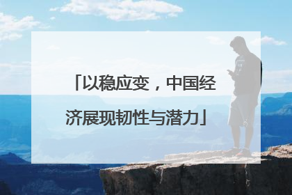 以稳应变，中国经济展现韧性与潜力