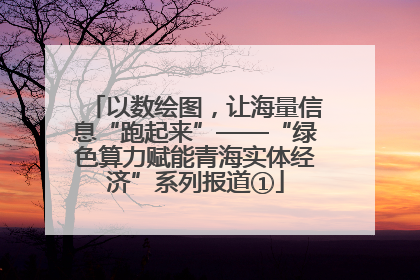以数绘图，让海量信息“跑起来”——“绿色算力赋能青海实体经济”系列报道①