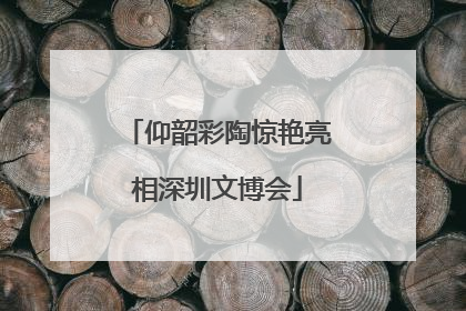 仰韶彩陶惊艳亮相深圳文博会