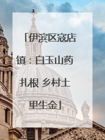 伊滨区寇店镇：白玉山药扎根 乡村土里生金