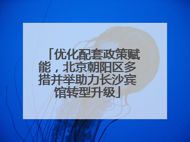 优化配套政策赋能，北京朝阳区多措并举助力长沙宾馆转型升级