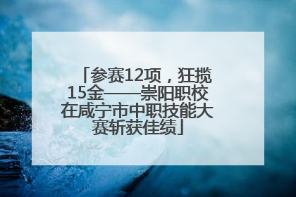 参赛12项，狂揽15金——崇阳职校在咸宁市中职技能大赛斩获佳绩