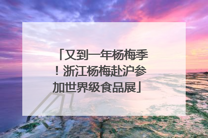 又到一年杨梅季！浙江杨梅赴沪参加世界级食品展