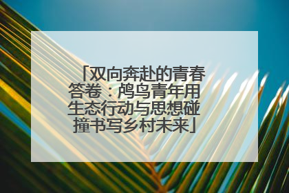 双向奔赴的青春答卷：鸬鸟青年用生态行动与思想碰撞书写乡村未来