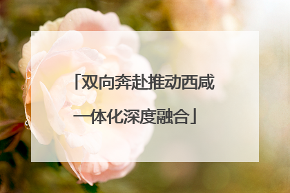 双向奔赴推动西咸一体化深度融合