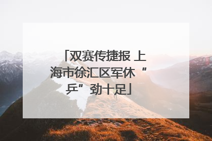 双赛传捷报 上海市徐汇区军休“乒”劲十足