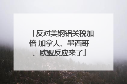 反对美钢铝关税加倍 加拿大、墨西哥、欧盟反应来了
