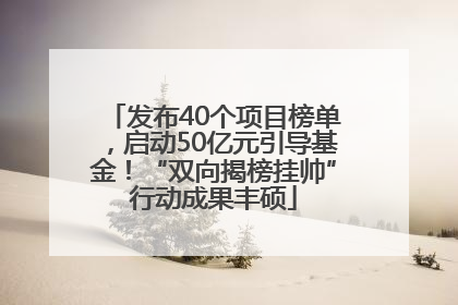 发布40个项目榜单，启动50亿元引导基金！“双向揭榜挂帅”行动成果丰硕