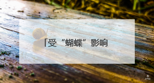 受“蝴蝶”影响 这些地方实施临时交通管制、停运